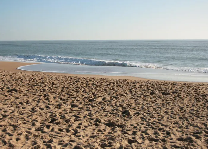 Maison Cosy Sous Les Pins, A 450m De La - Fr-1-22-357 別荘